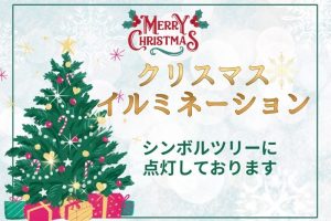 クリスマスイルミネーションを点灯🎄